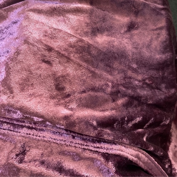 NWT VELVET TUNIC IN FIG JAM - Picture 3 of 5